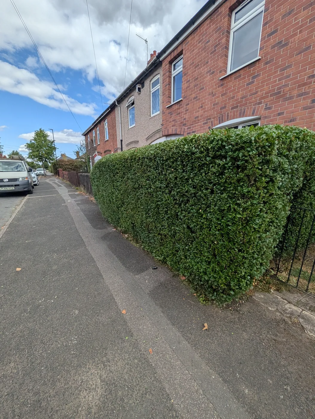 Hedge after trimming, with a neat level top and sides